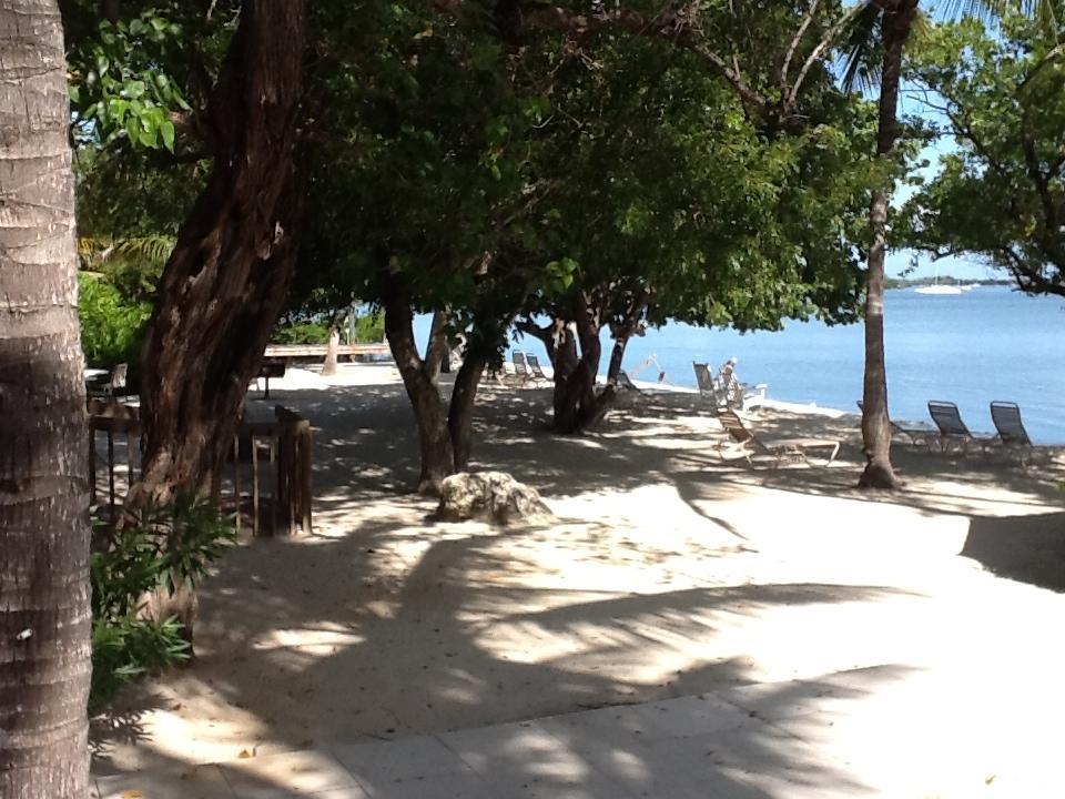 Banana Bay Resort (Adults Only) Κι Γουέστ Εξωτερικό φωτογραφία
