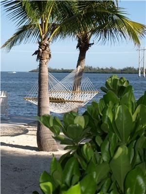 Banana Bay Resort (Adults Only) Κι Γουέστ Εξωτερικό φωτογραφία