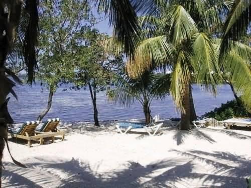 Banana Bay Resort (Adults Only) Κι Γουέστ Εξωτερικό φωτογραφία